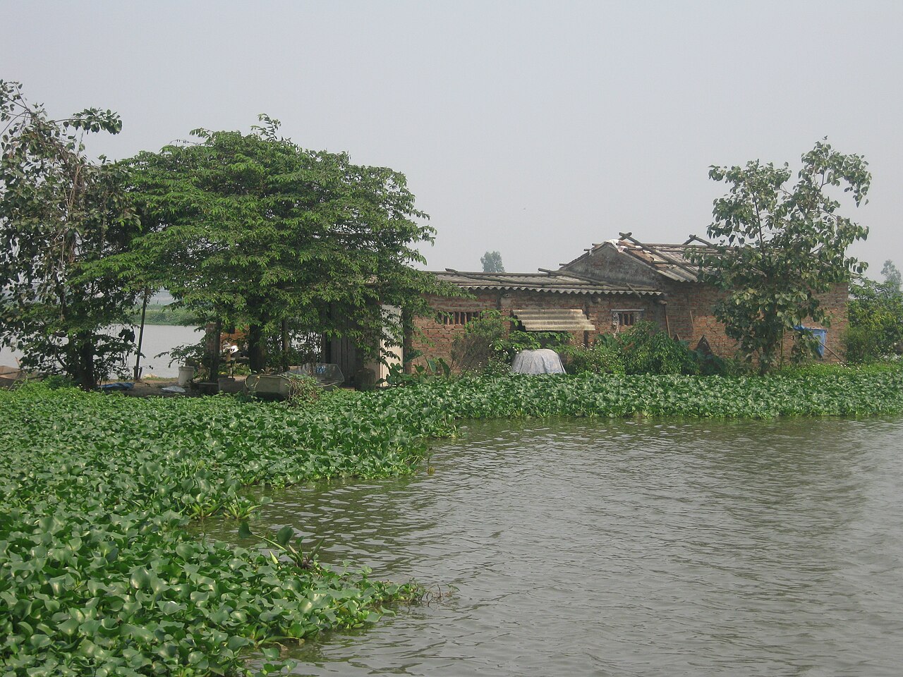 صورة Delta Reserve