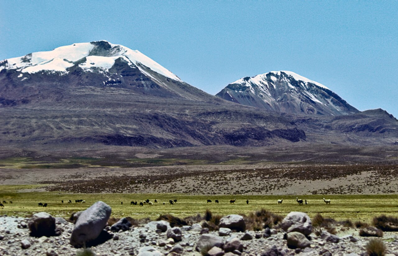 Volcán Quimsachata fotoğrafı