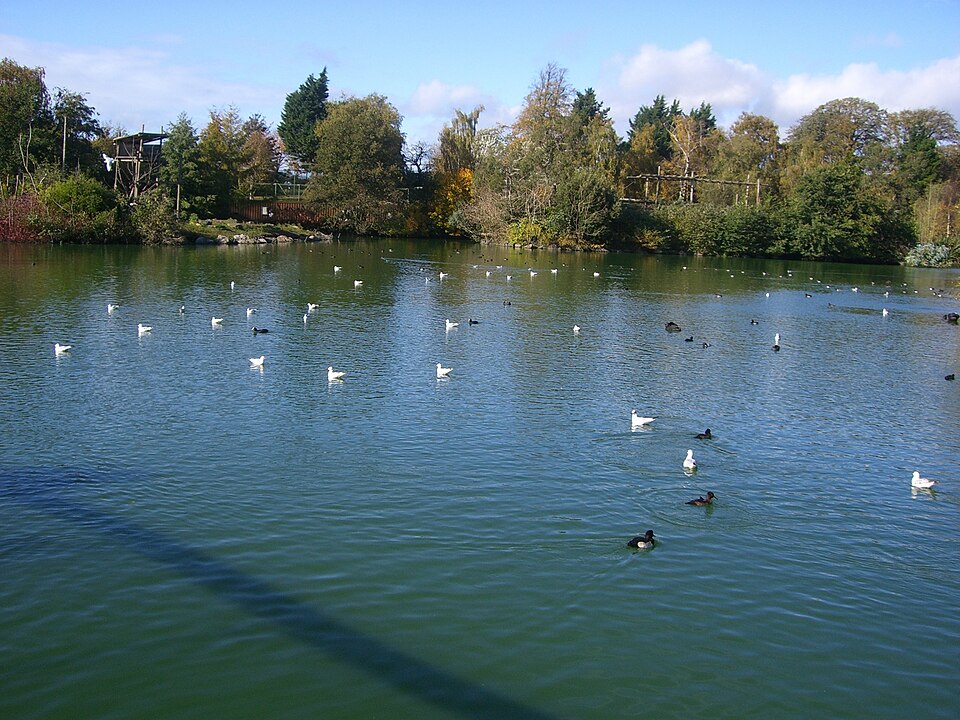 A photograph of Dublin Zoo