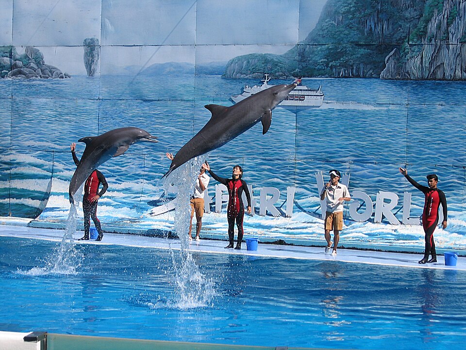 A photograph of Safari World
