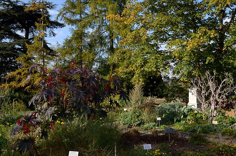 A photograph of Alter Botanischer Garten