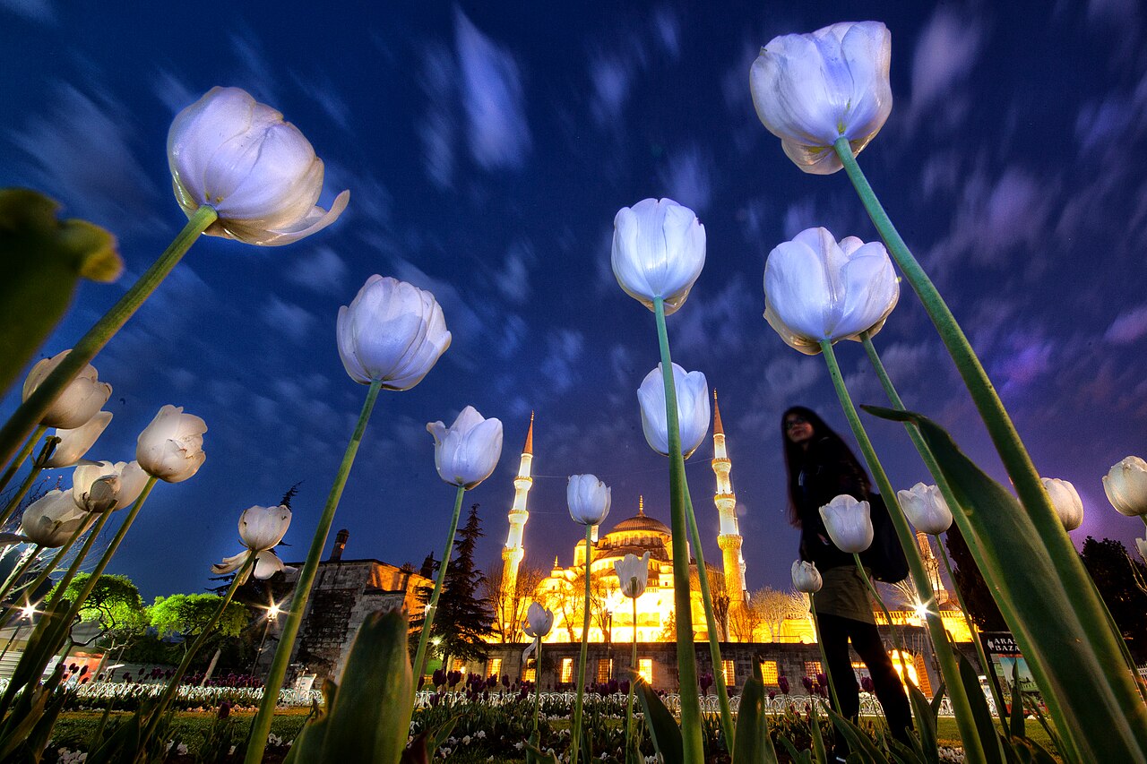 Sultan Ahmed Mosque の写真