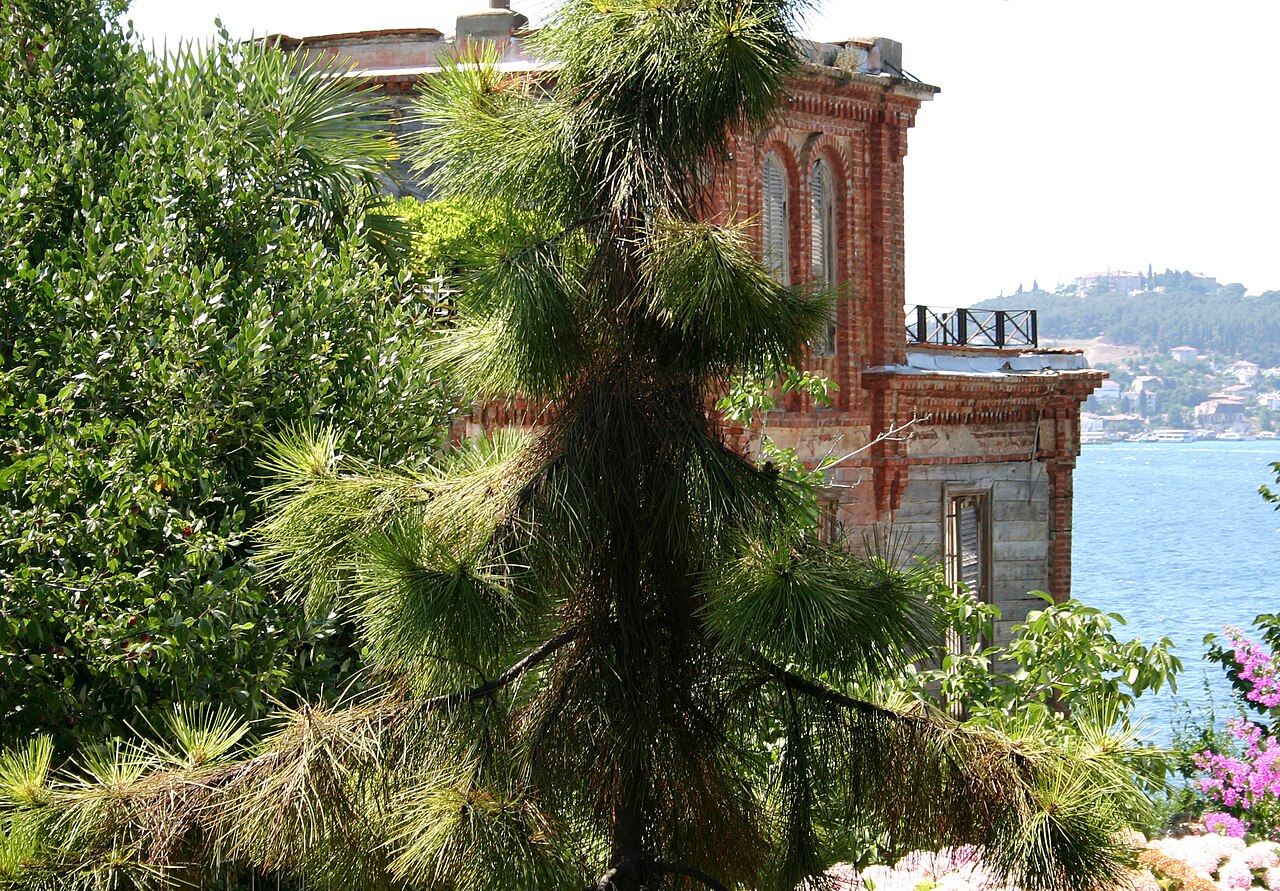 Trotsky's House in Büyükada の写真