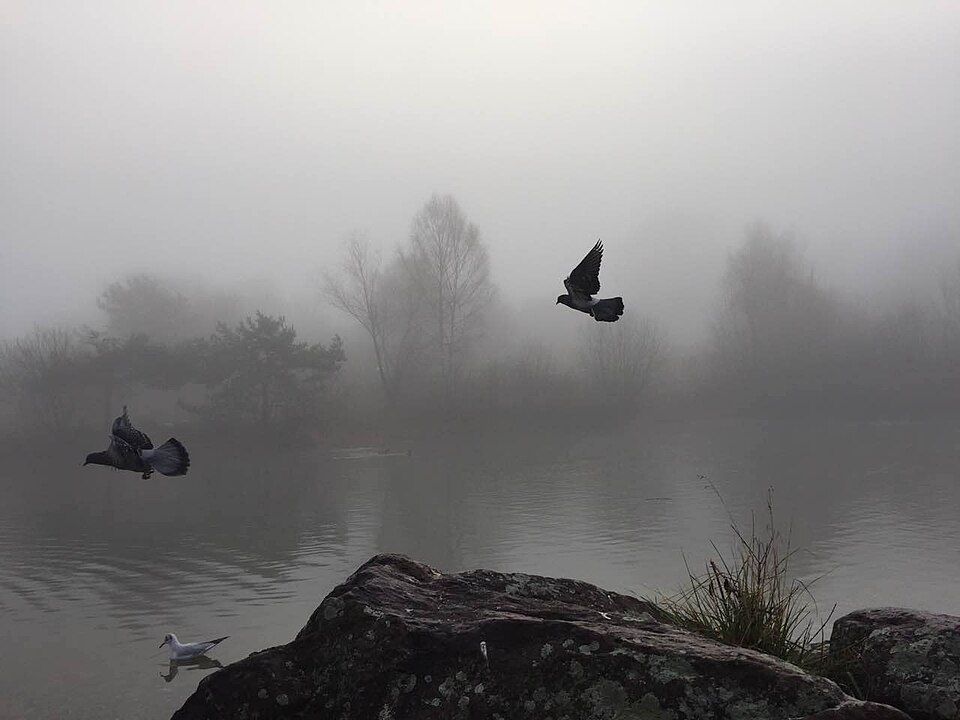 A photograph of Irchelpark