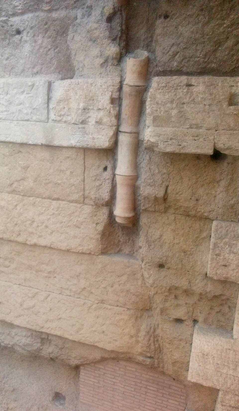 A photograph of Crypta Balbi
