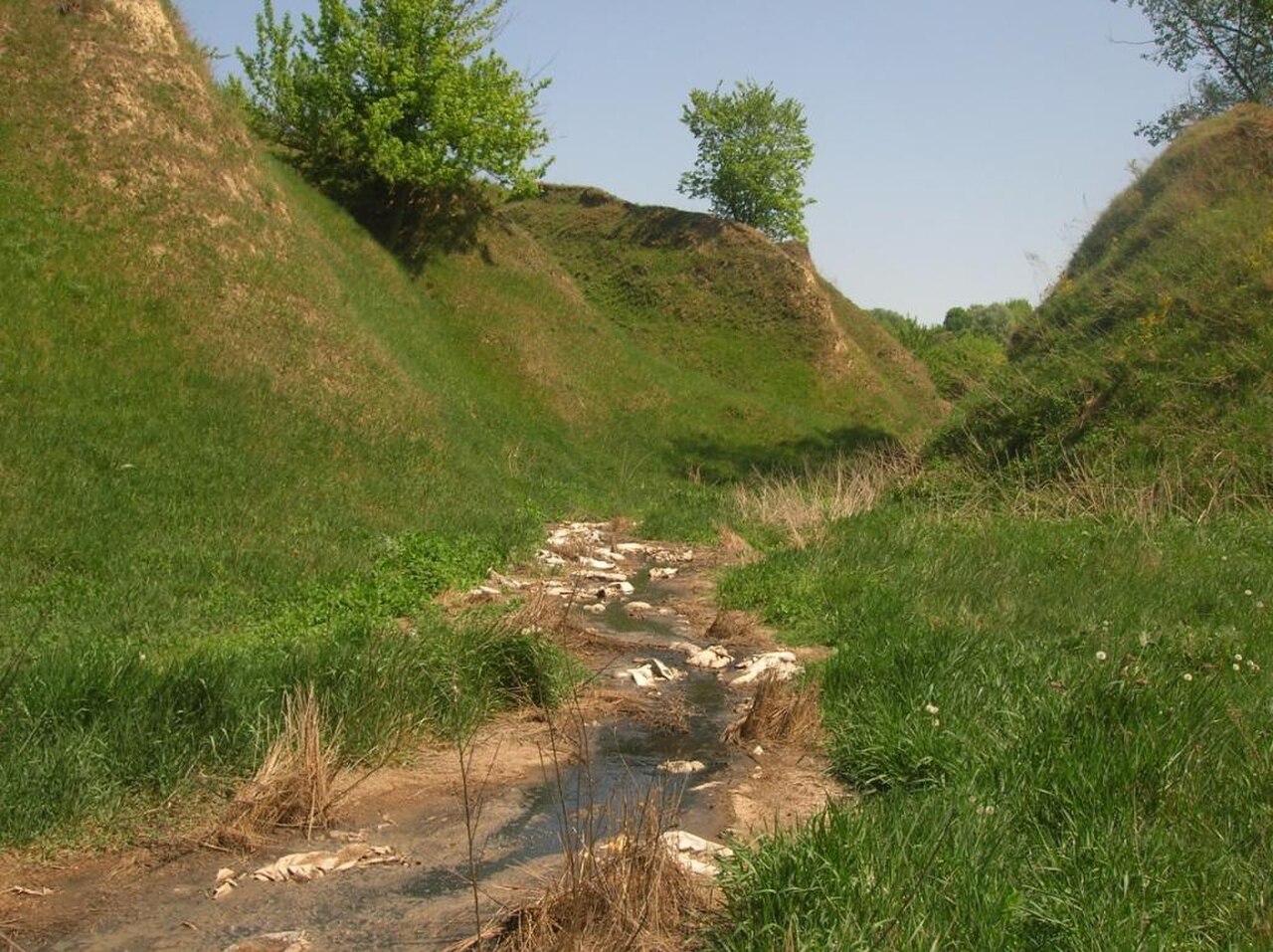 Gully Reserve fotoğrafı