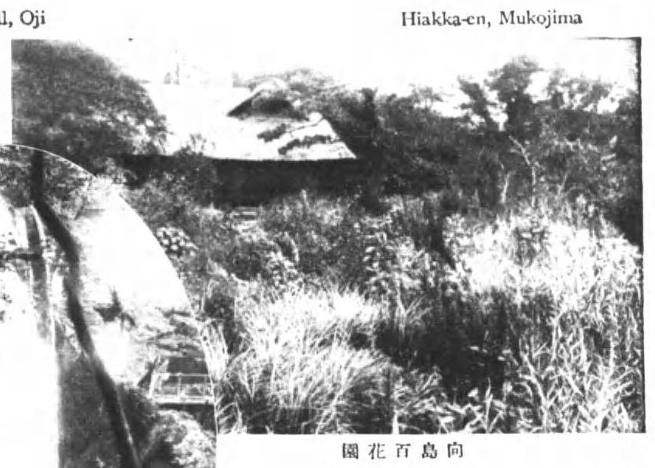 Mukōjima-Hyakkaen Garden fotoğrafı