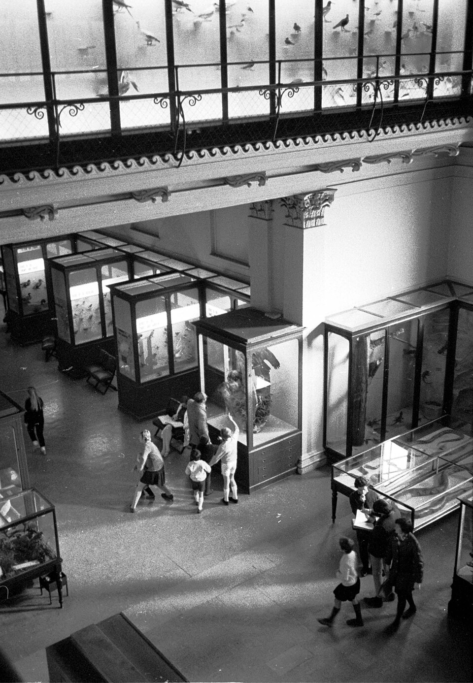 A photograph of Australian Museum