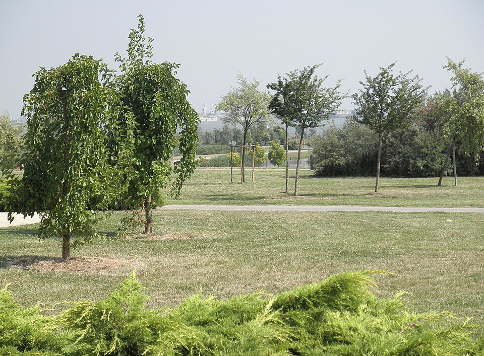 A photograph of San Giuliano park
