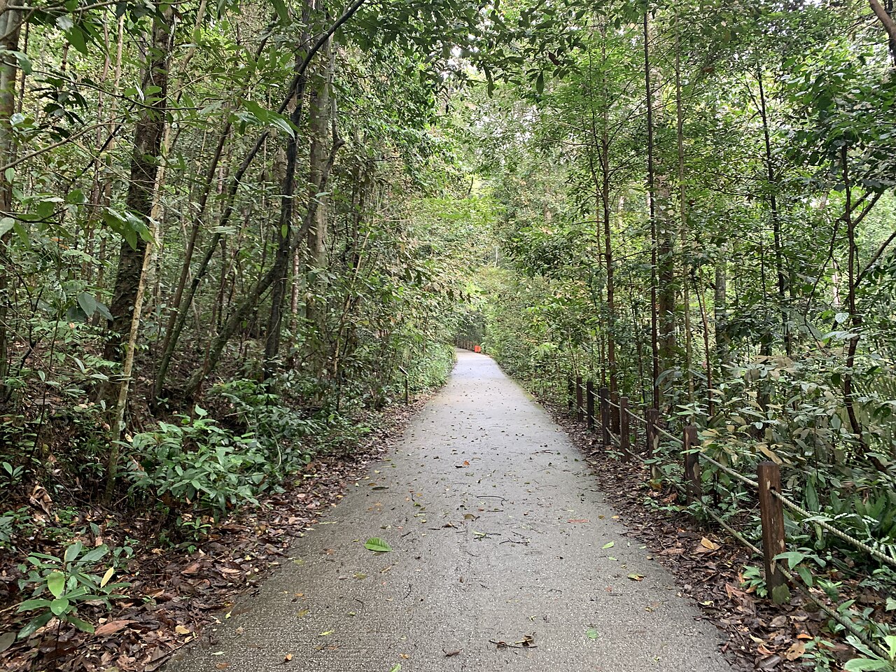 صورة Bukit Timah Nature Reserve