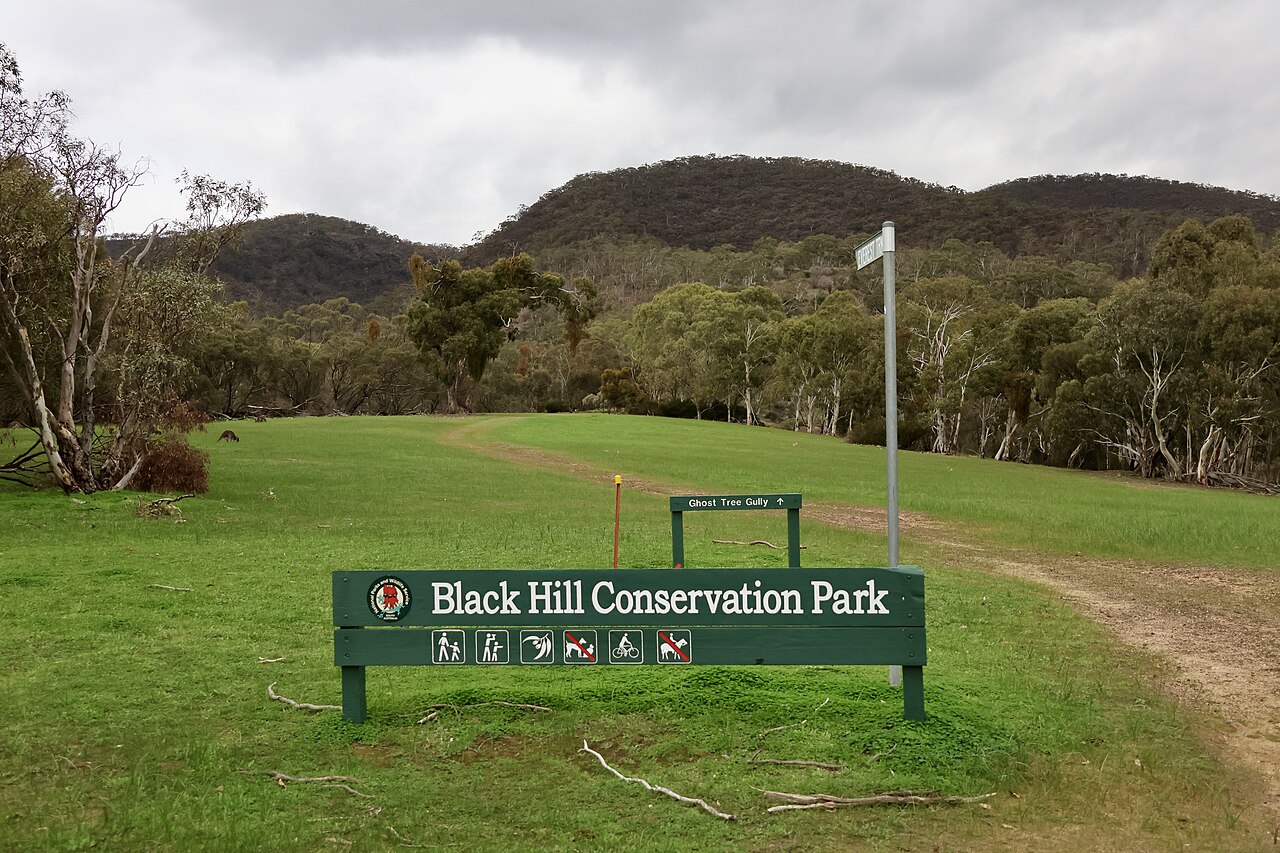 Black Hill Conservation Park
