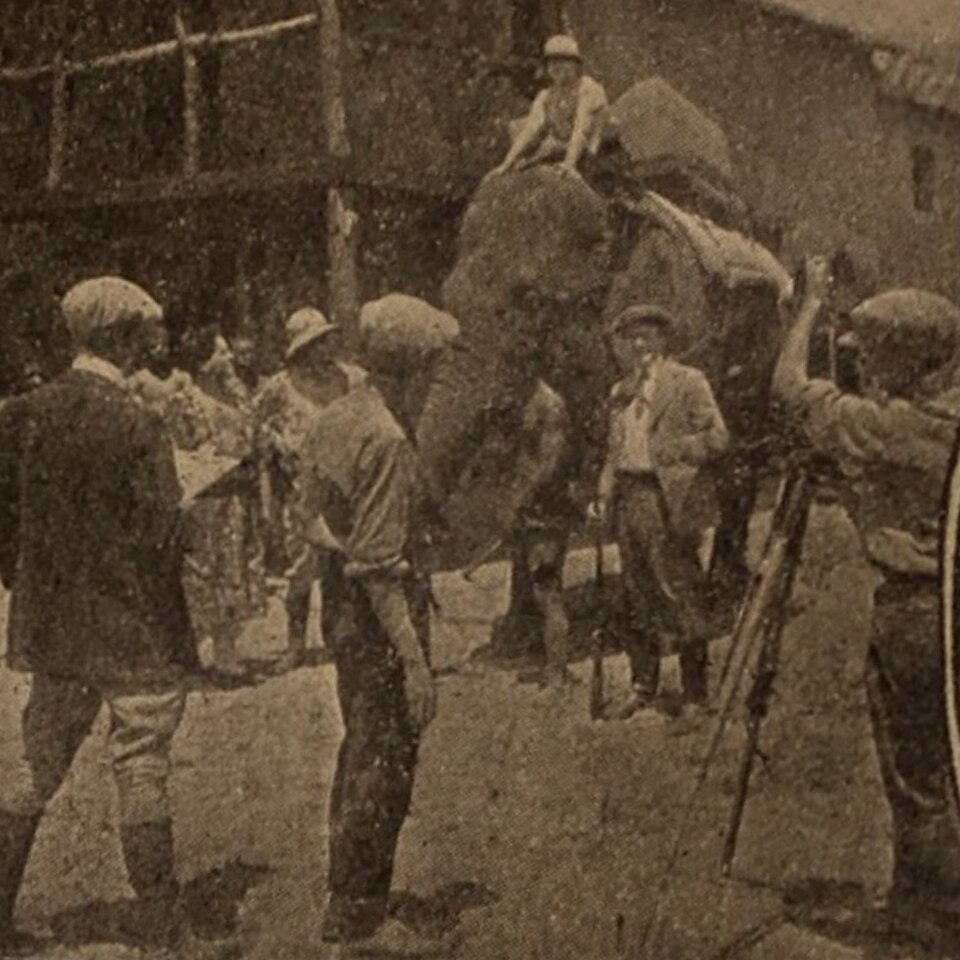 A photograph of Elephant riding