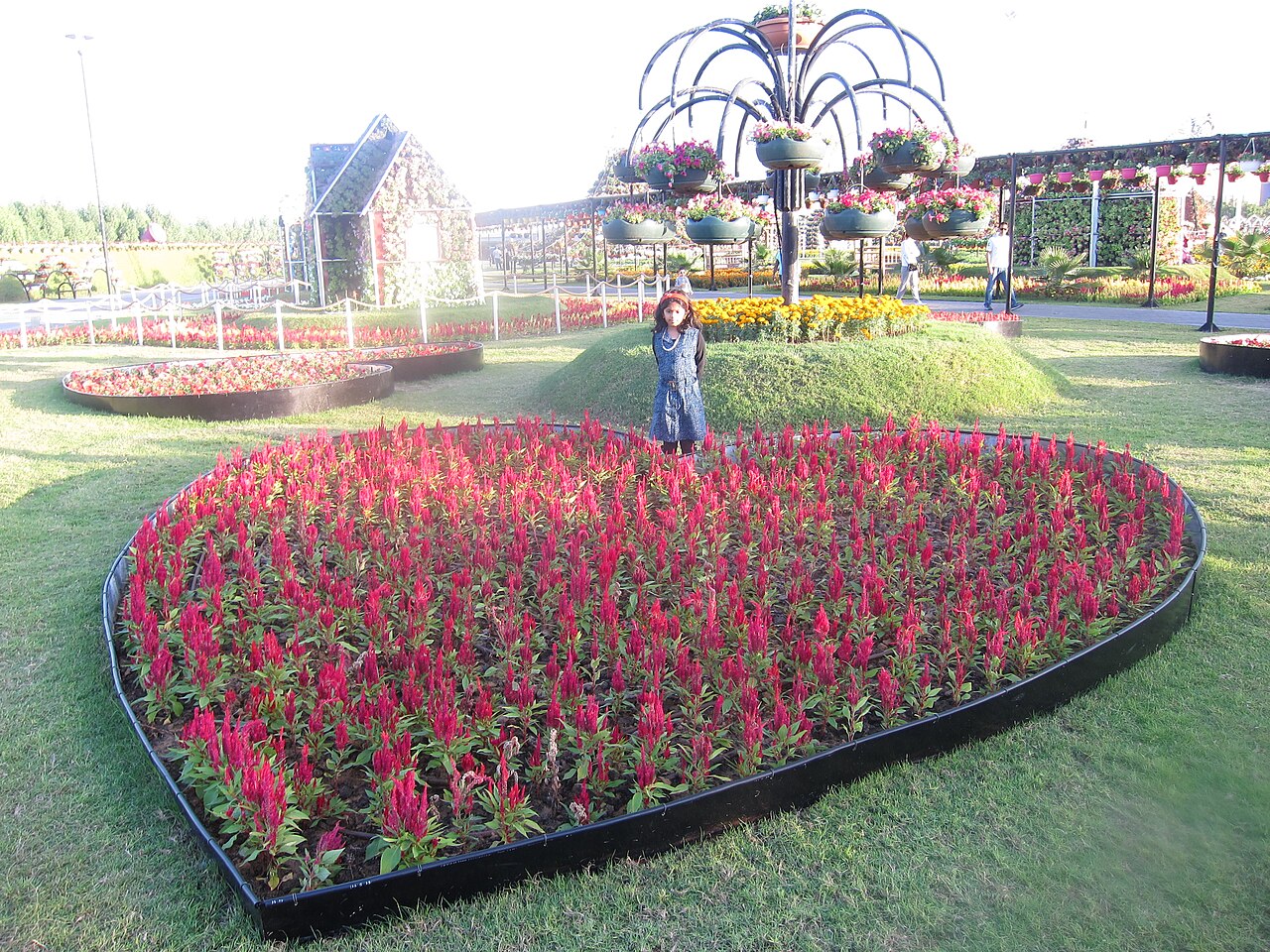Dubai Miracle Garden의 사진
