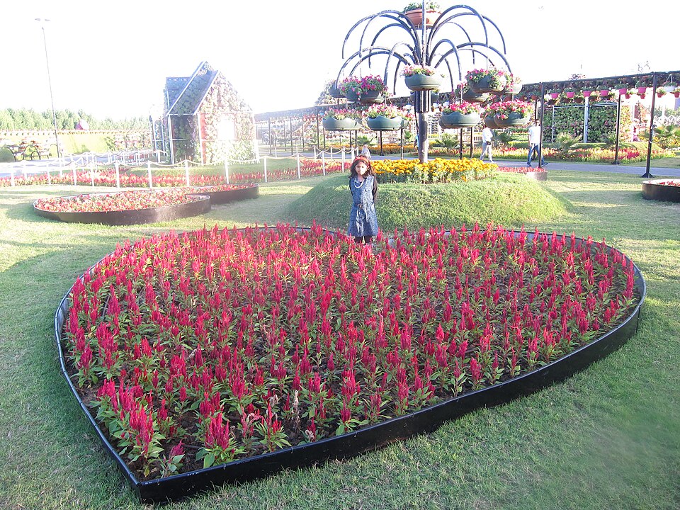 A photograph of Dubai Miracle Garden