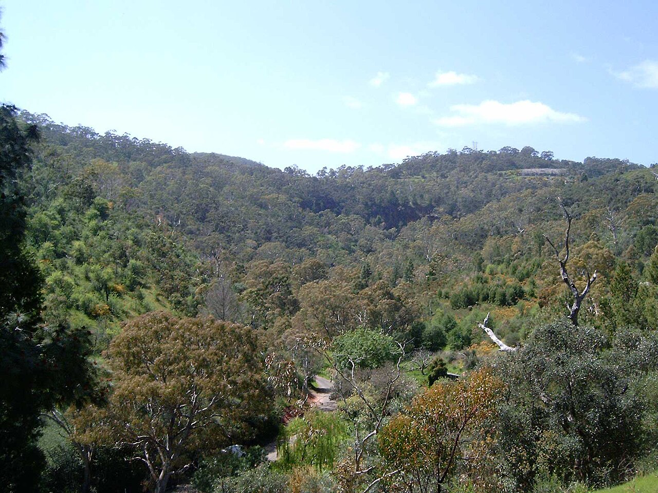 Une photographie de Waterfall Gully