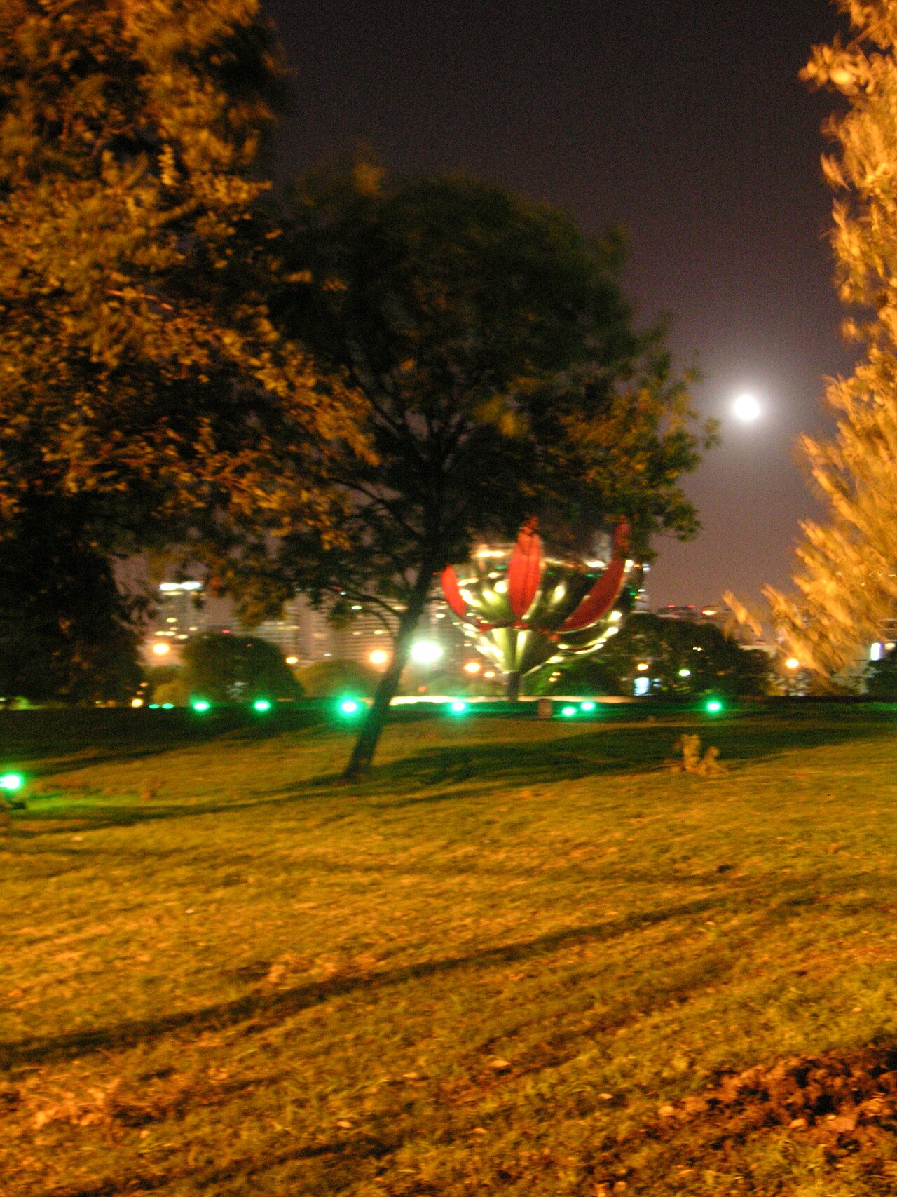Floralis Generica