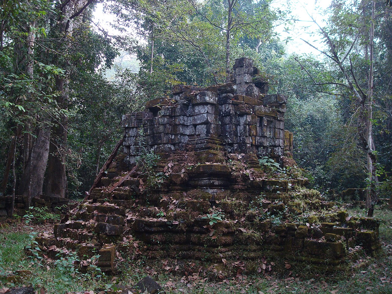 Mangalartha의 사진