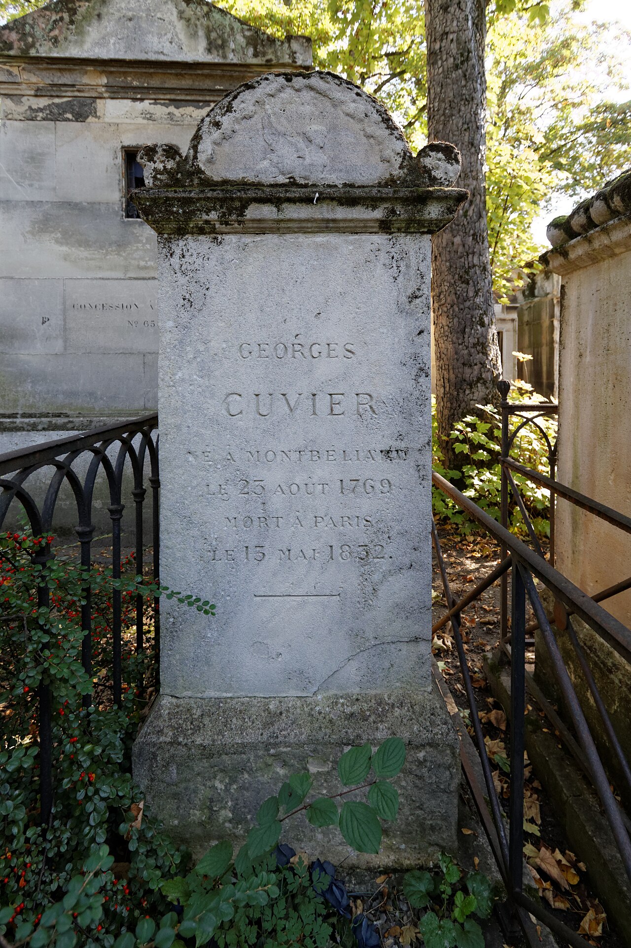 Georges Cuvier Mezarı