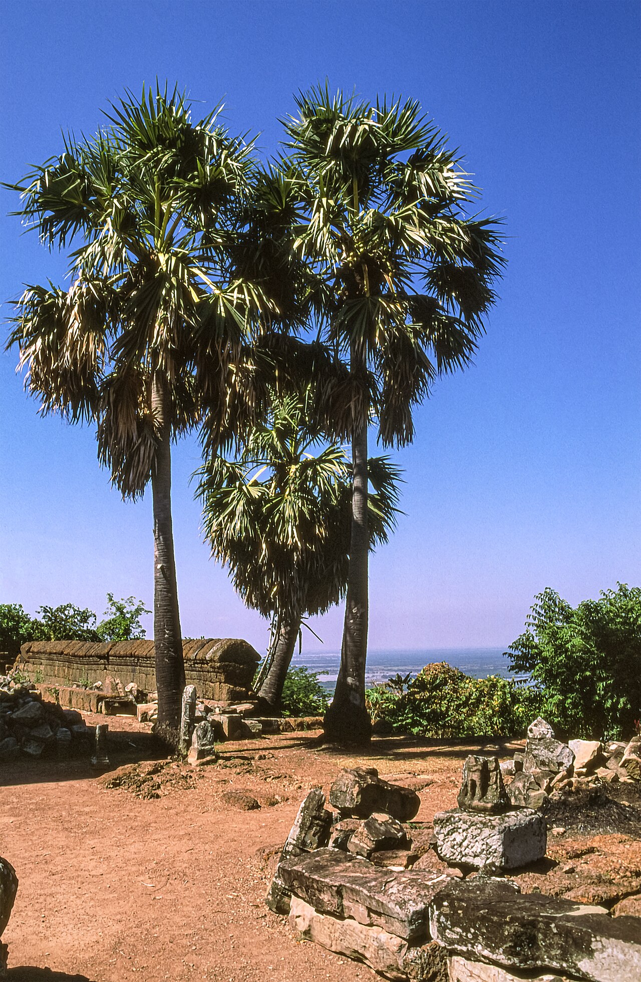 Phnom Krom fotoğrafı