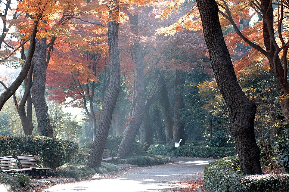 A photograph of Imperial Palace East Gardens