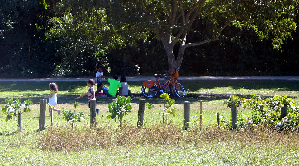 A photograph of Bosque da Barra