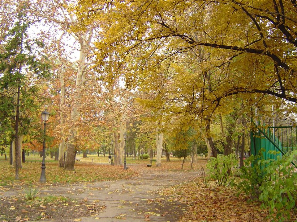 A photograph of City Park in Zemun