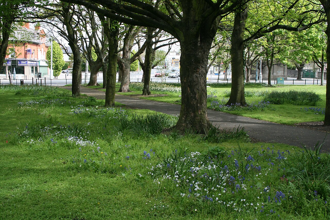 Fairview Park fotoğrafı