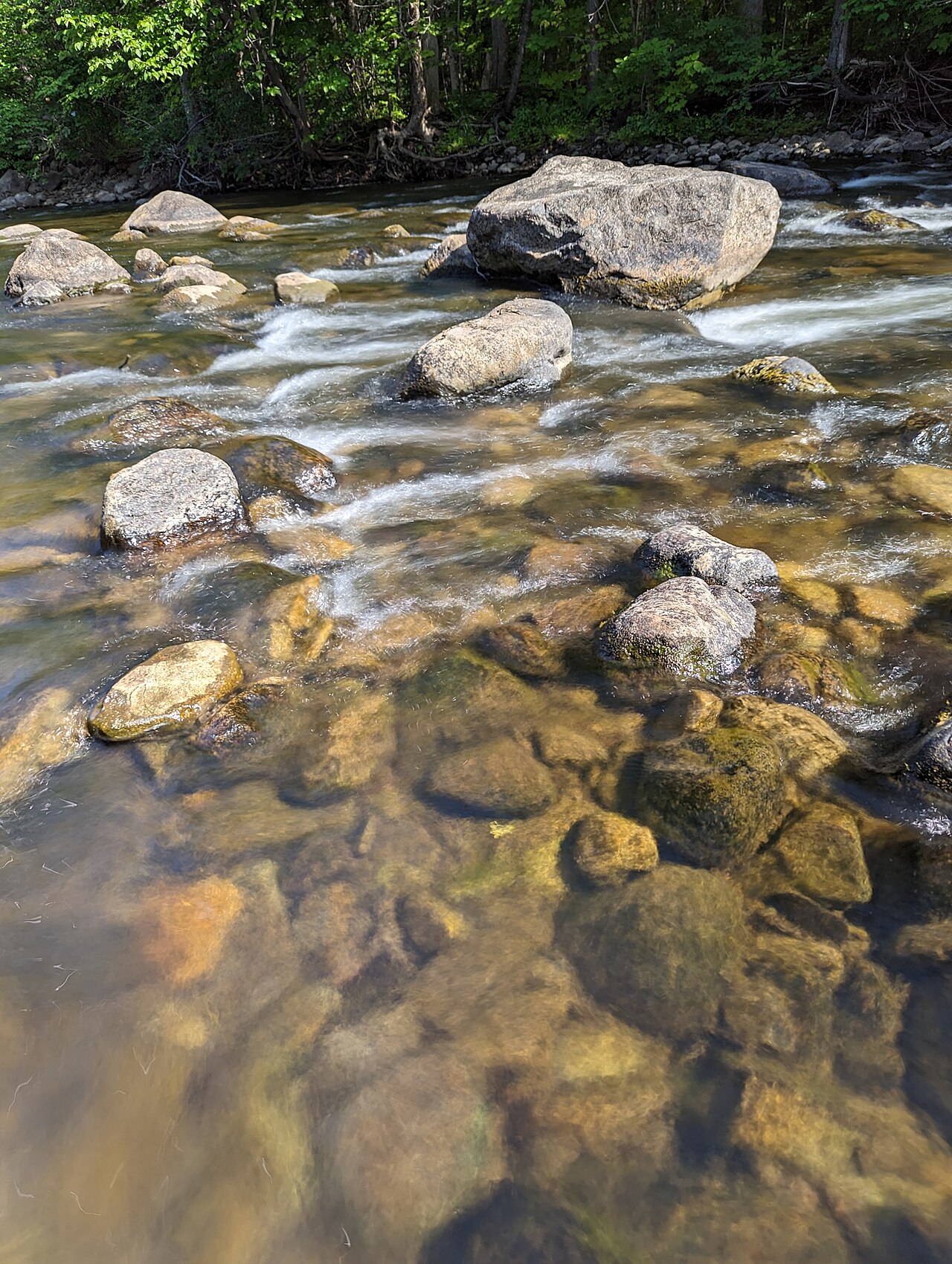 Uma fotografia de Parc Chauveau