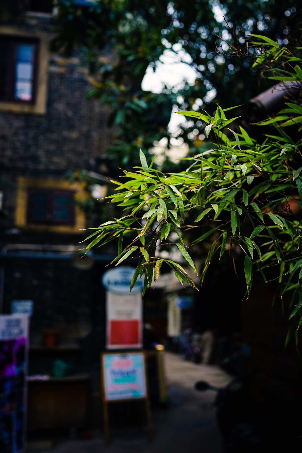 Tianzifang fotoğrafı