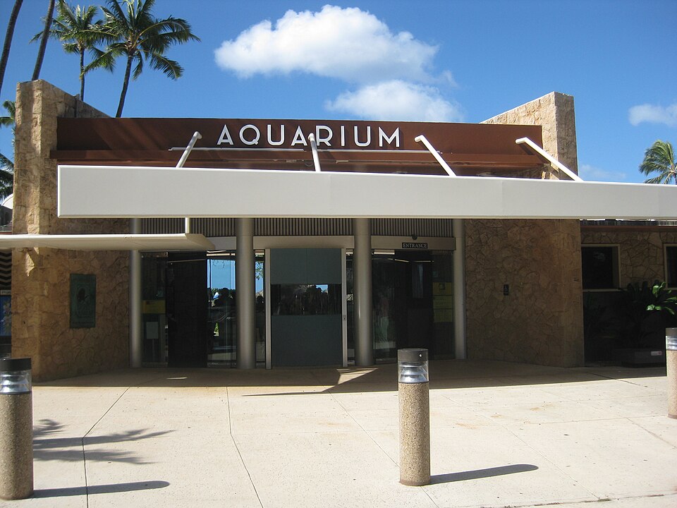 A photograph of Waikiki Aquarium