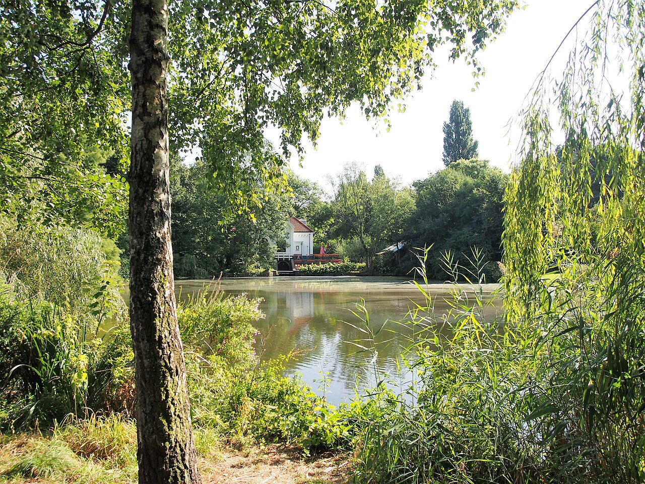 Flevopark fotoğrafı