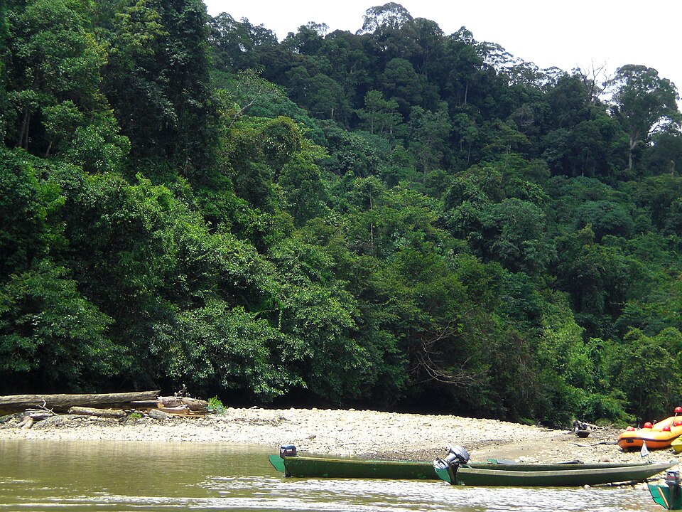A photograph of Ulu Park