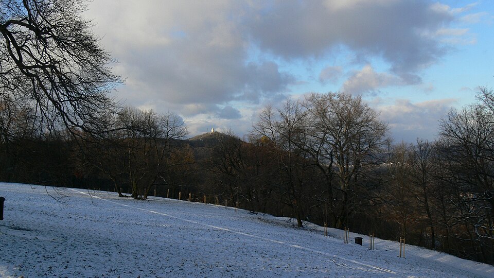 A photograph of Normafa