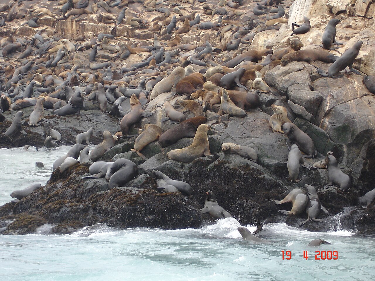 Una fotografia di Islas Palomino