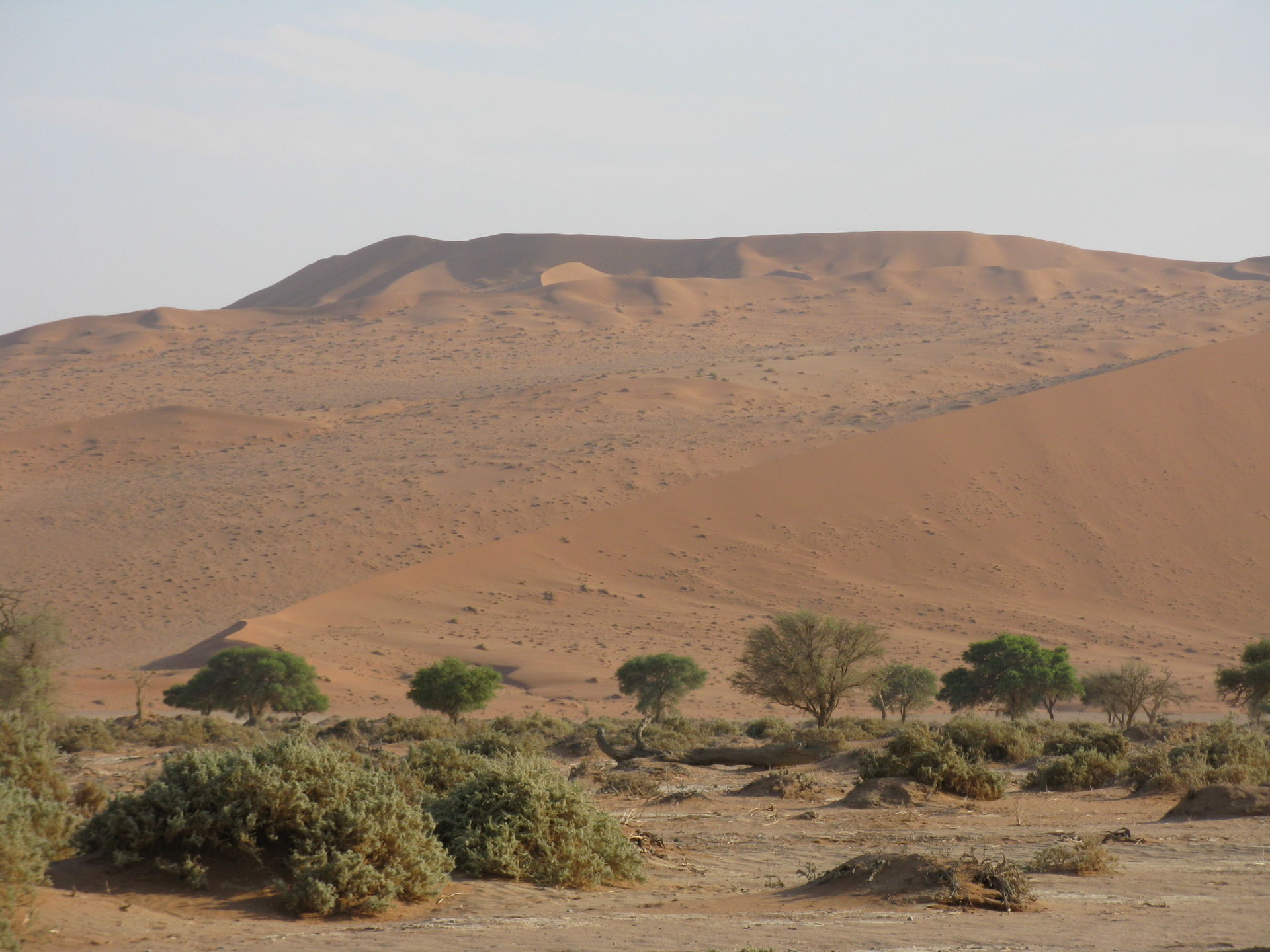 Red Sand Dunes