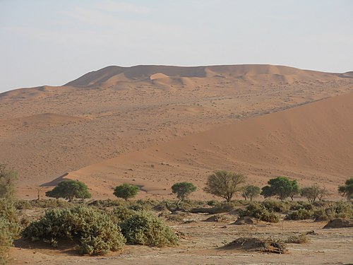 Red Sand Dunes