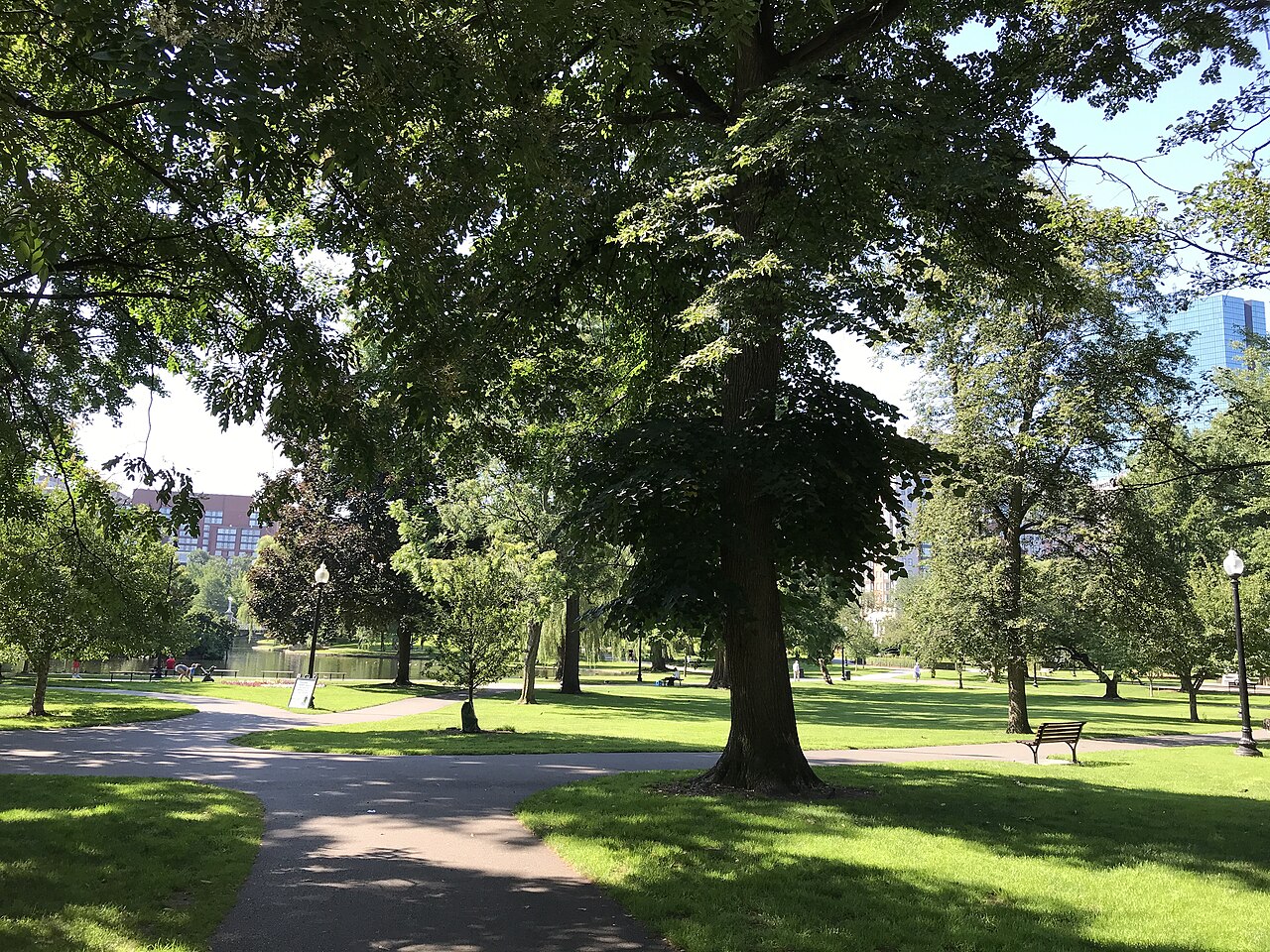 Ein Foto von Öffentlicher Garten