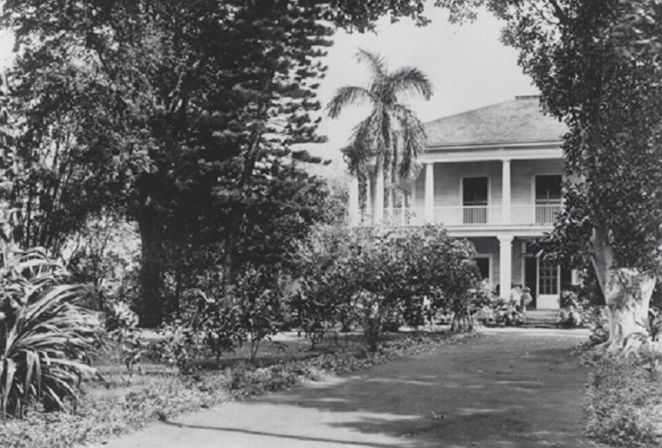 A photograph of Washington Place
