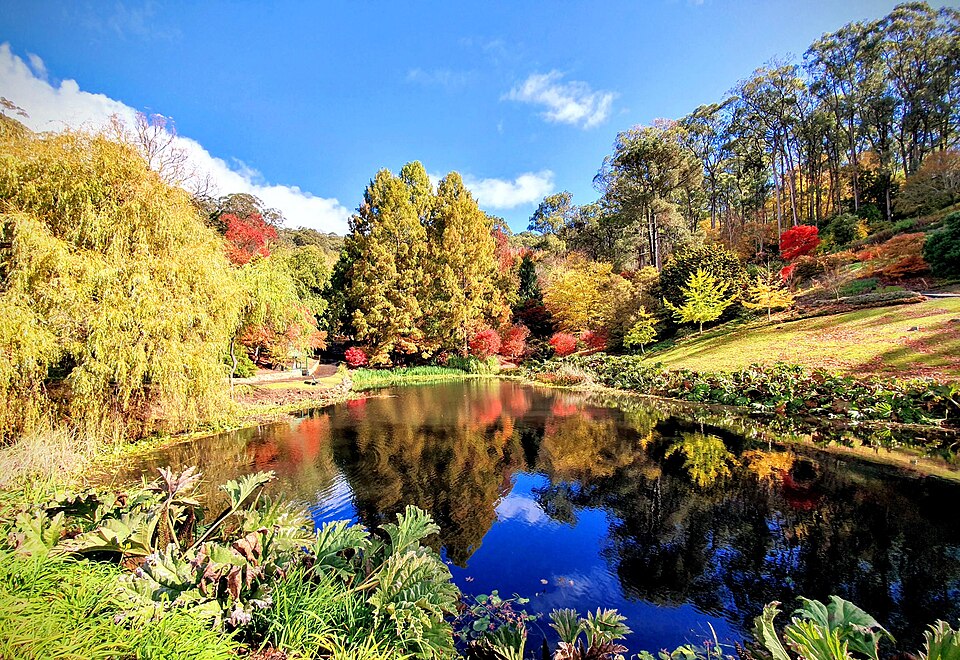 A photograph of Mount Lofty Botanic Garden