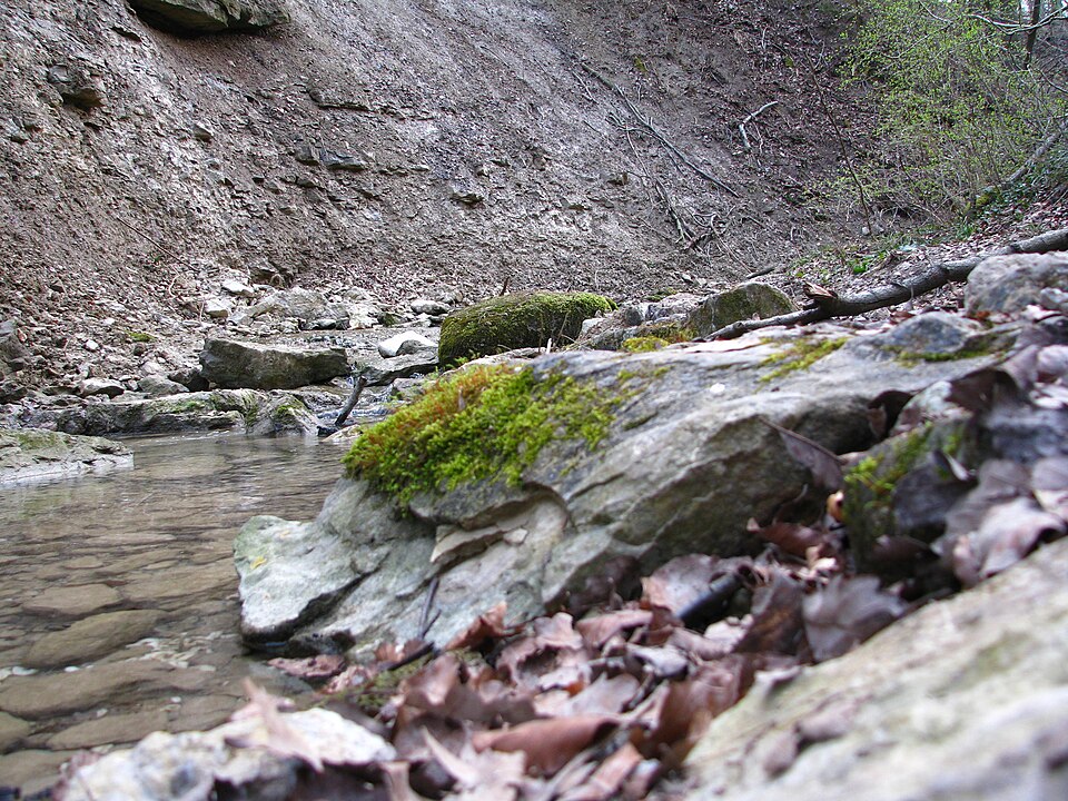 A photograph of Sagentobelbach