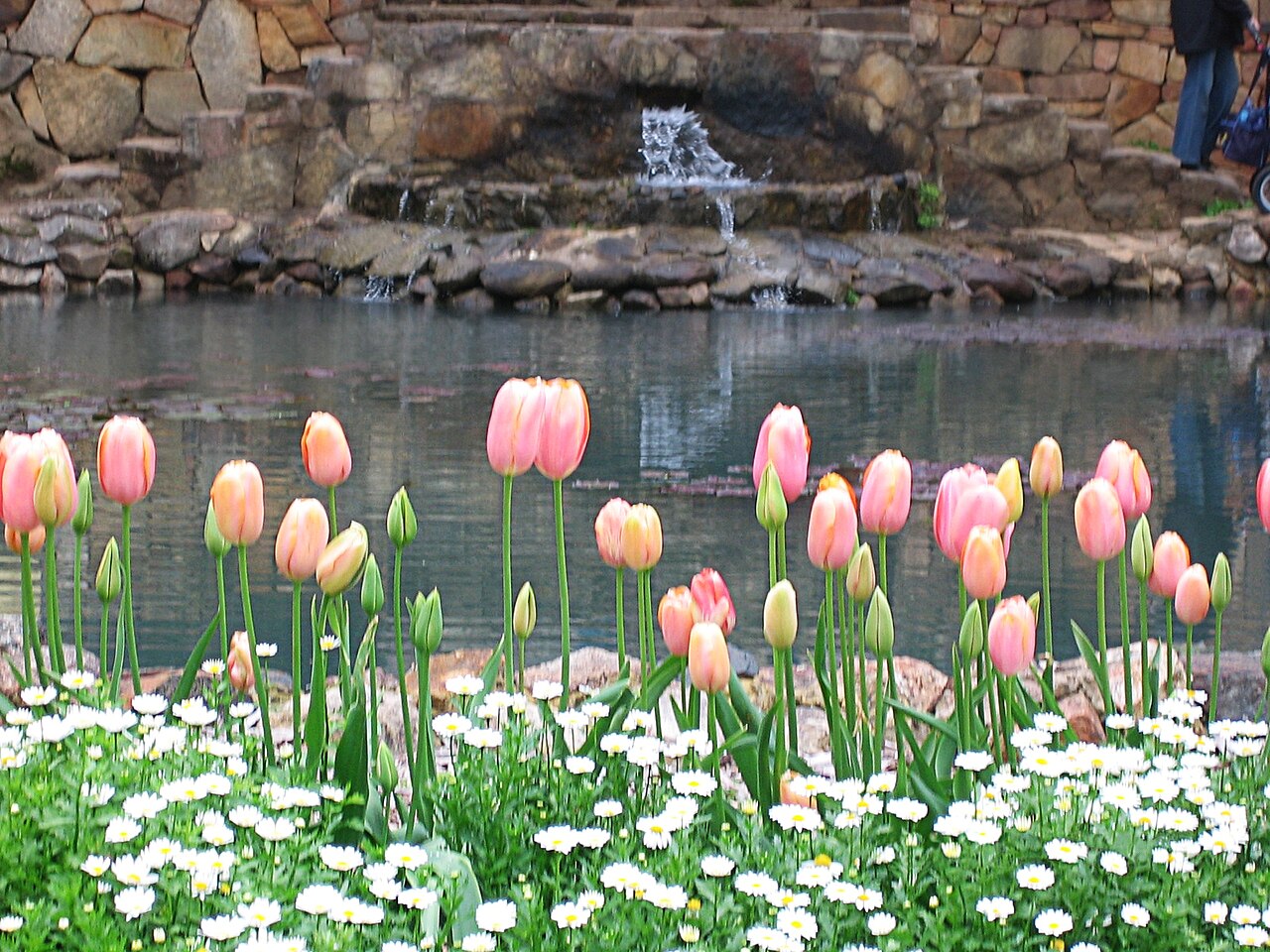 Araluen Botanic Park