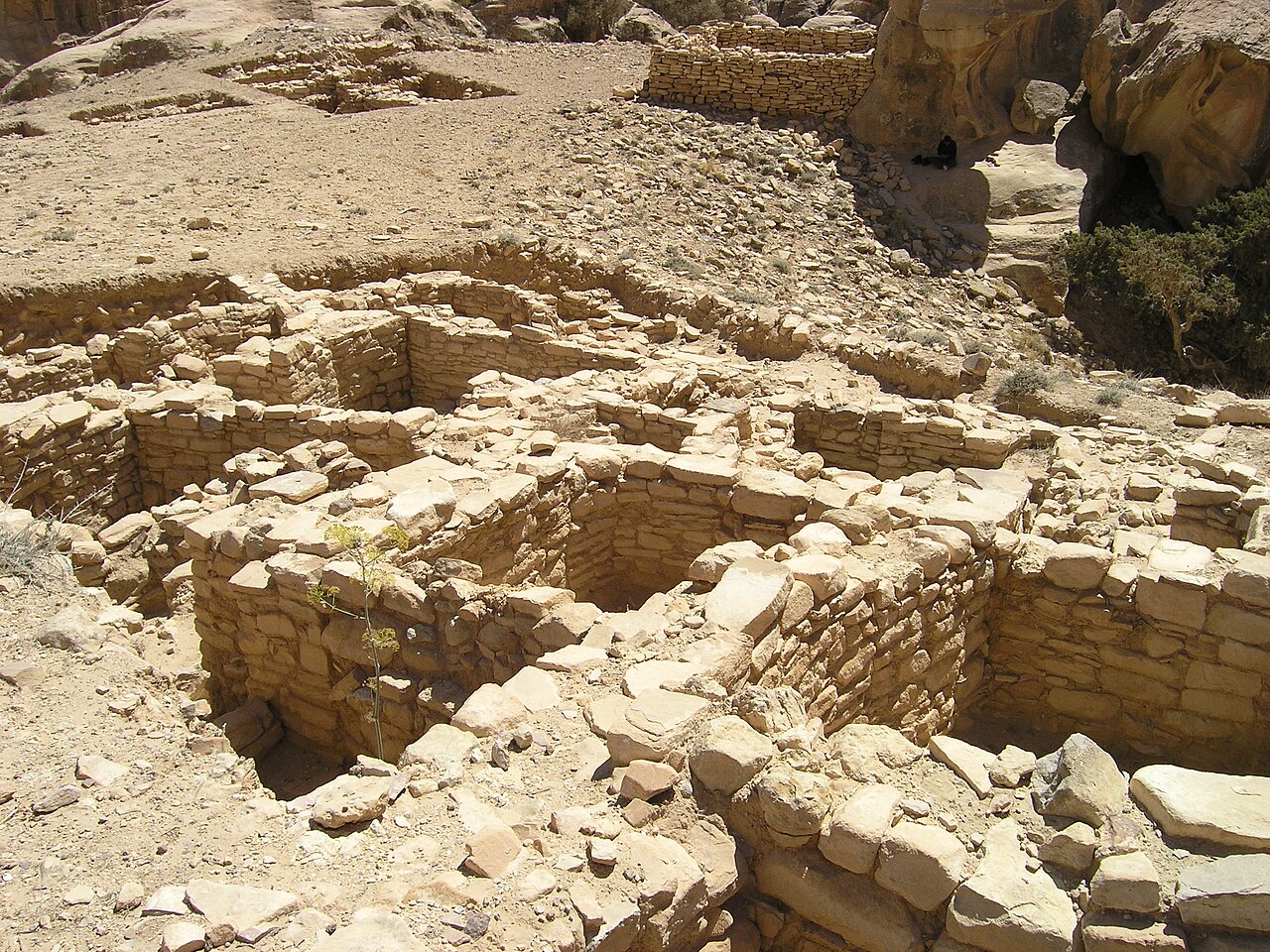 صورة Ba'ja