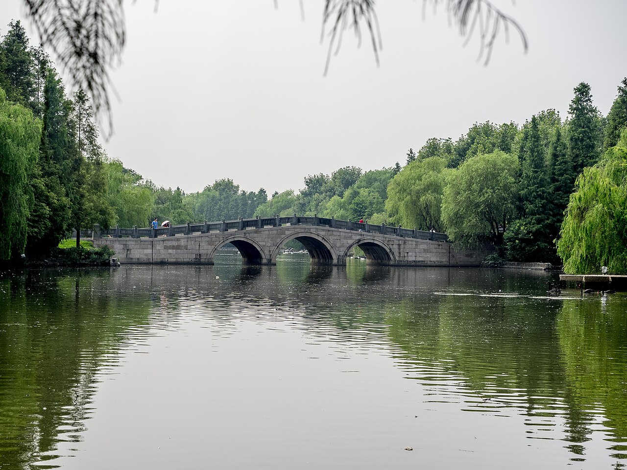 Shanghai Zoo fotoğrafı