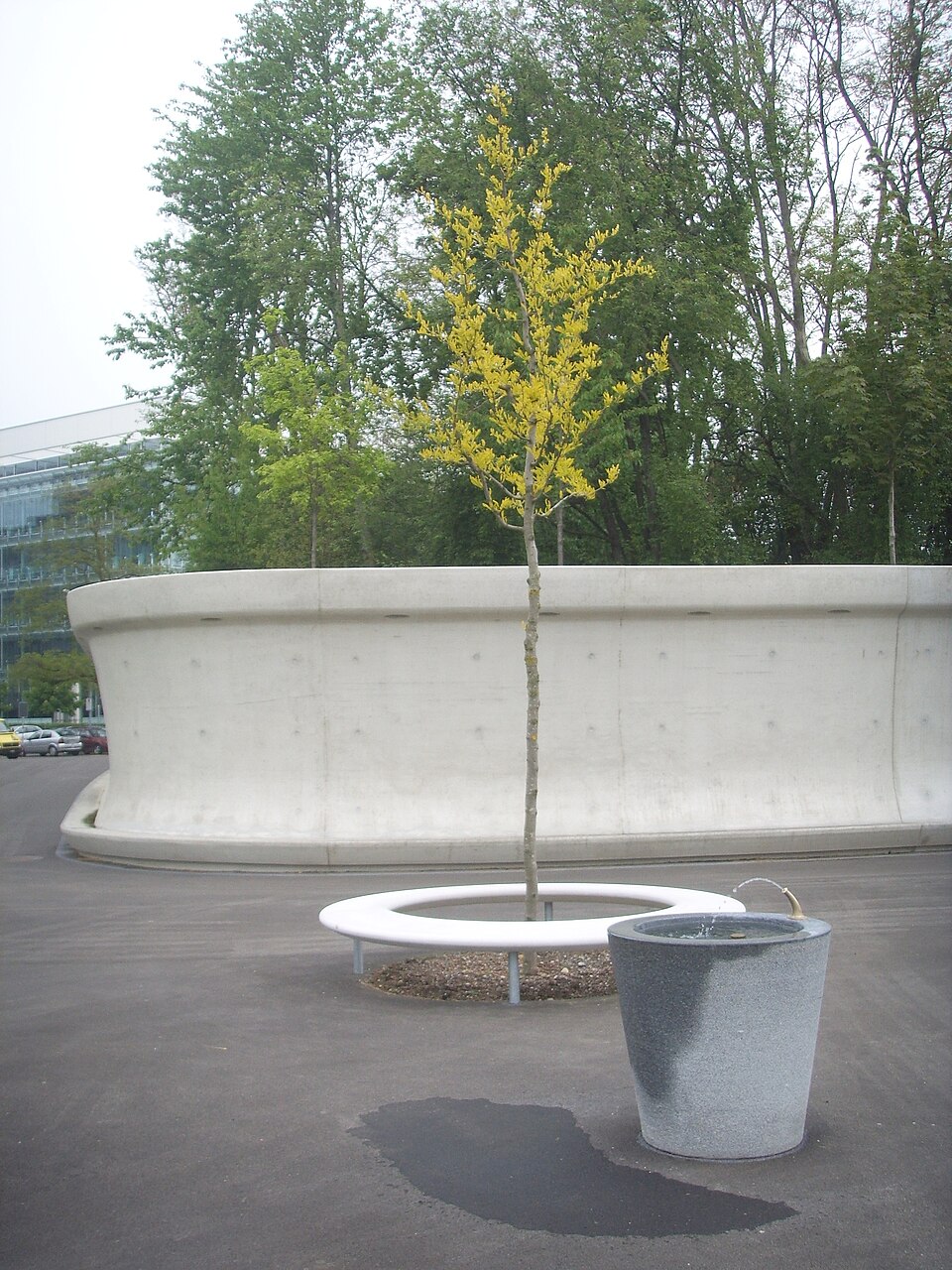 A photograph of Leutschenpark