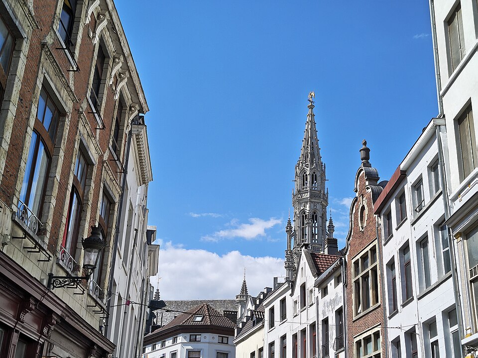 A photograph of Brussels Town Hall