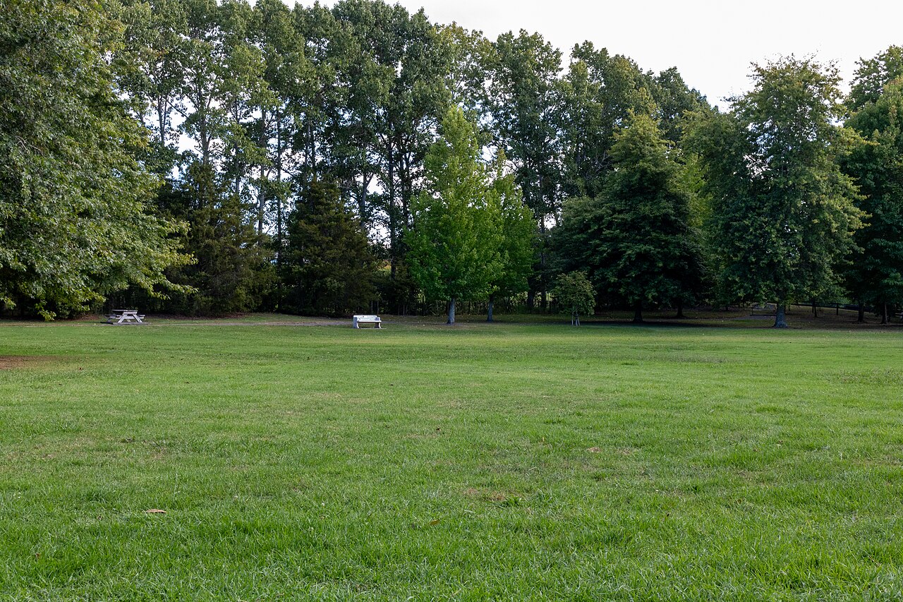 A photograph of Coatesville Recreation Reserve
