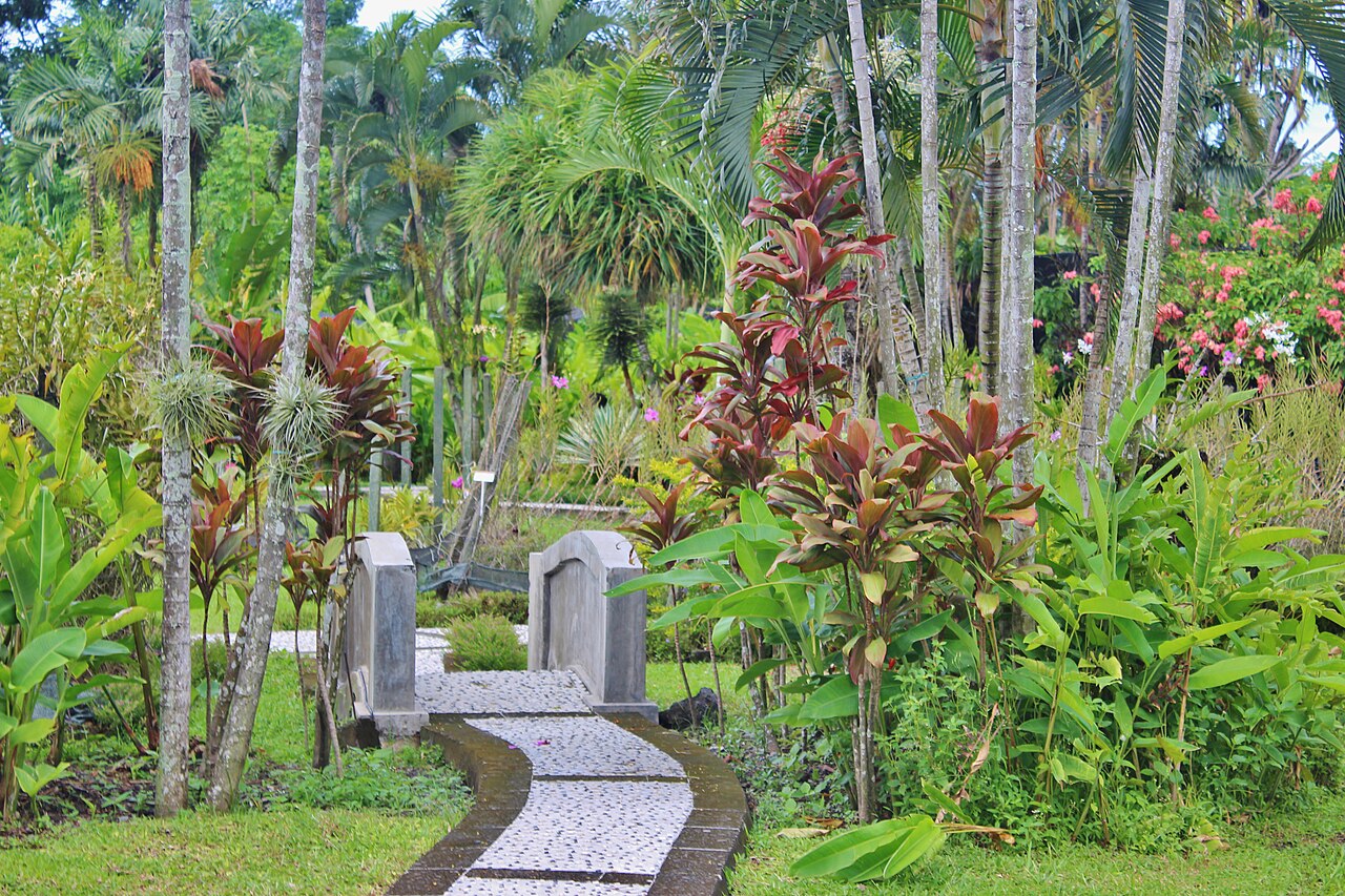 Ein Foto von Bali Orchideen Garten