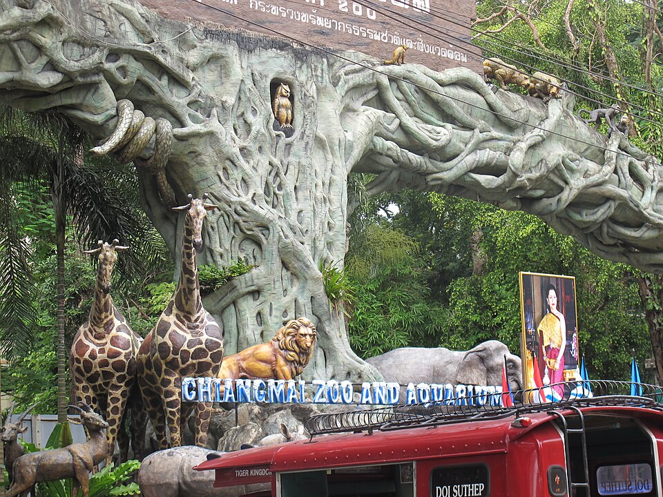 A photograph of Chiang Mai Zoo