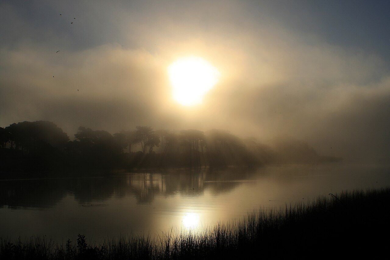Lake Merced의 사진