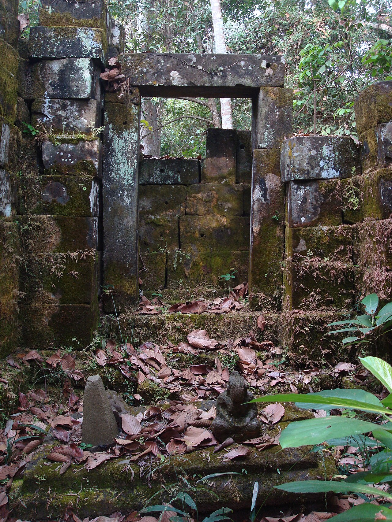 Mangalartha의 사진